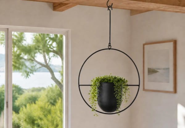 Two Minimalist Round Plant Hanger - Available in Three Colours — photo 4