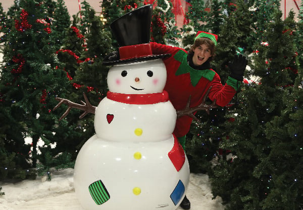 Santa's Snowplanet Winter Wonderland Family Fun Experience for Four - Valid from 21st November to 24th December 2026 — photo 8