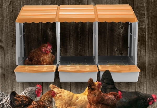 Three-Hole Chicken Nesting Box - Three Colours Available — photo 11