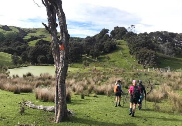 Two-Day / Two-Night Fully Catered Whareama Coastal Walk for Two People incl. Accommodation & Meals - Options for Groups up to Eight People — photo 10