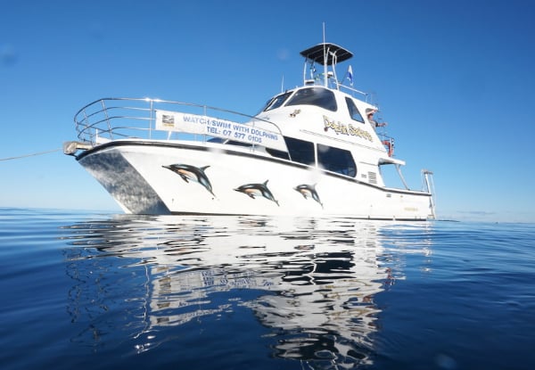 Wild Dolphin Encounter - Half-Day Wildlife Spring Cruise - Options for Adult, Children, Toddler or Family Pass — photo 4