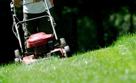 Innovative Gardening Services