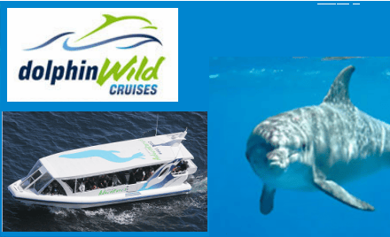 Dolphin Wild Cruises