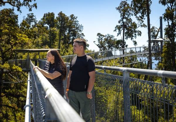 Adult Pass to The West Coast Treetop Walkway - Option for Child or Senior — photo 10