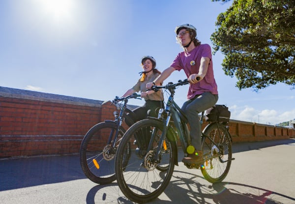 The Ultimate Wellington Bays & Petone Full-Day eBike Adventure - Options for Two & Four People — photo 6