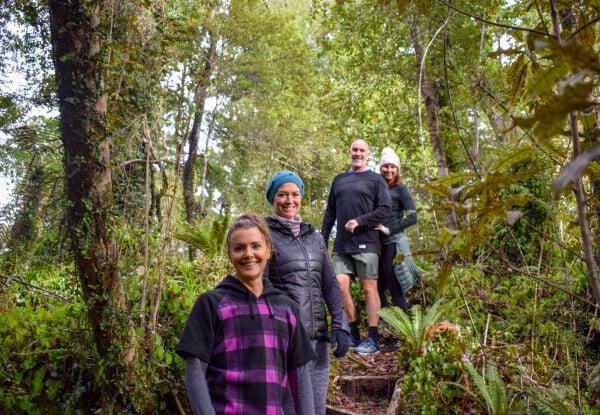 Three-Hour Guided Kayak Classic or Sunset Kayak Tour on Lake Mapourika for One Adult or Child with Franz Josef Wilderness Tours - Option for Four-Hour Kayak & Walk in the Okarito Kiwi
Sanctuary — photo 11