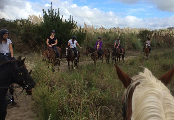 One-Hour Beach Horse Trek for One Adult - Options Available for a Child, Two People & a Two-Hour Intermediate Trek — photo 3