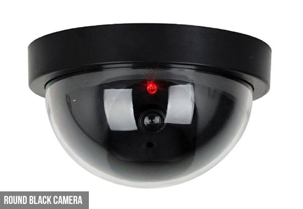 Dummy Security Cameras with Blinking Red Light - Two Types Available