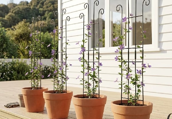 Four-Piece Metal Garden Trellis for Climbing Plants — photo 3