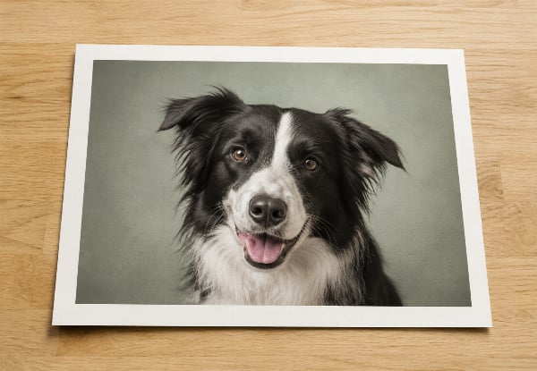 One-Hour Pet Photography Session at Your Home with Digital Images & Choice of Fine-Art Print