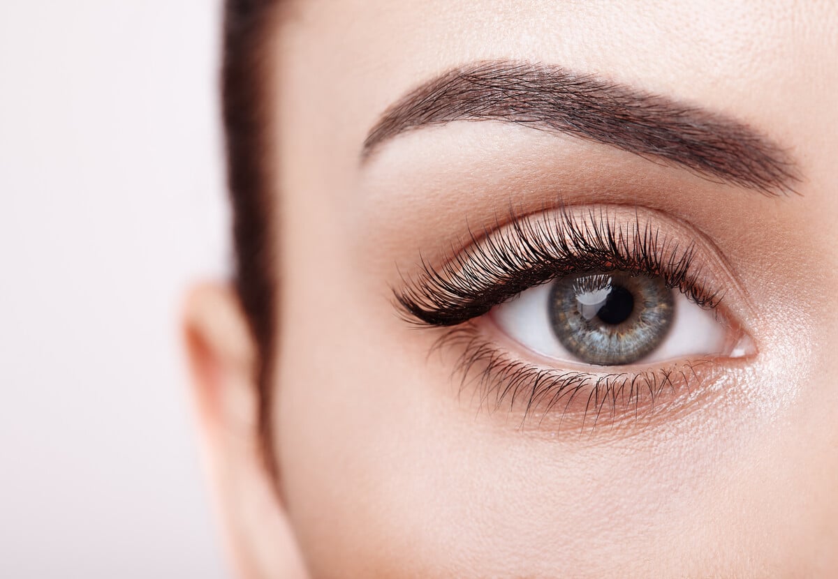 Brow Shape, Brow Shape & Tint, or Eye Trio, from $12