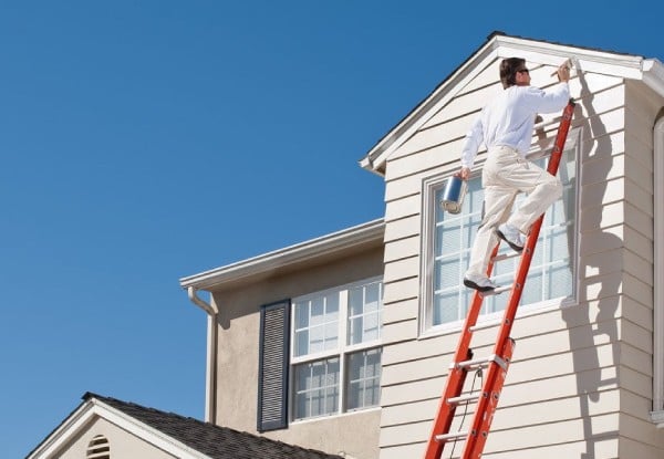Professional Roof Paint Package incl. Wash, Moss & Mould Treatment, Priming & Top Coating - Options for up to 180m2 — photo 2
