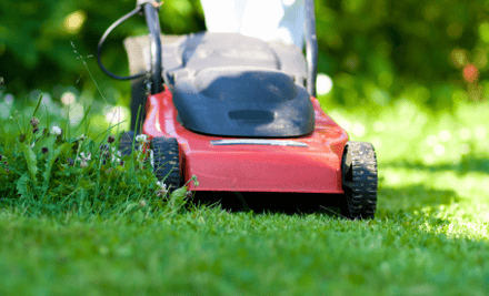 Huff and Puff Garden Maintenance