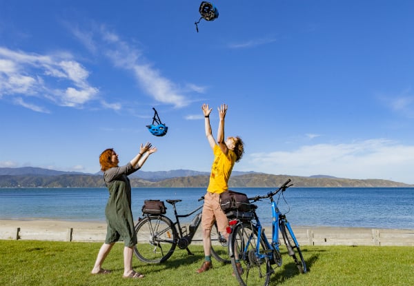 The Ultimate Wellington Bays & Petone Full-Day eBike Adventure - Options for Two & Four People — photo 7
