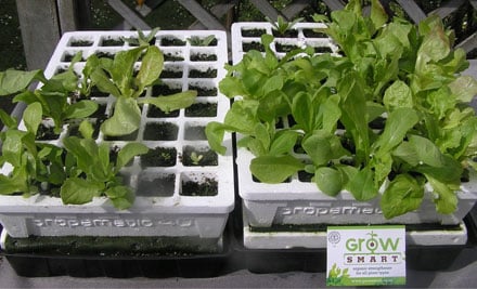 Grow Smart Organics