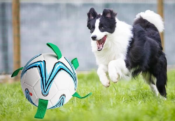 Football Dog Toy with Grab Tabs — photo 2