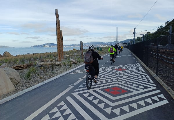 The Ultimate Wellington Bays & Petone Full-Day eBike Adventure - Options for Two & Four People — photo 3