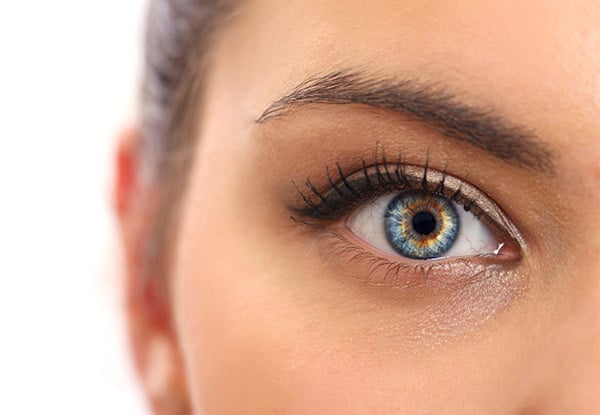 $17 for an Eyebrow Shape, Tint & Eyelash Tint (value up to $40) — photo 3