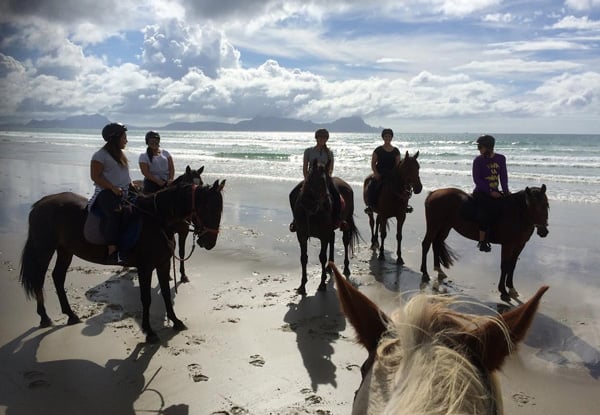 One-Hour Beach Horse Trek for One Adult - Options Available for a Child, Two People & a Two-Hour Intermediate Trek — photo 4