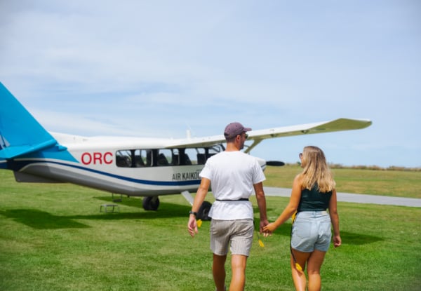 20% Off Adult Fares on a 30-Minute Whale Watch Flight - Option for Private Hire for up to Seven Passengers — photo 7