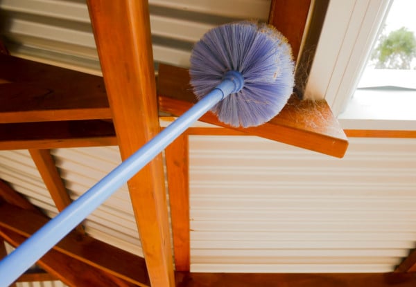 Interior or Exterior Spider Treatment - Option for a Three or Four Bedroom House