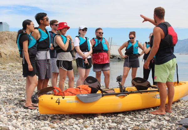 2.5 - 3 Hour Guided Kaikoura Seal & Marine Life Kayaking Experience for Up to Four Adults — photo 4