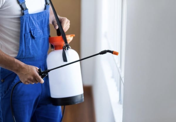 Inside or Outside Pest Control Service - Options for Three to Five Bedroom Homes — photo 3