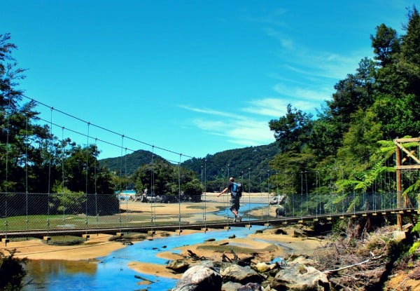 Abel Tasman 'Great Day Out' Cruise & Walk from Wilsons Abel Tasman National Park - Options for Adult & Children Available — photo 4