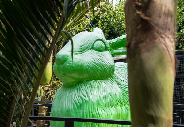 World-Class Spring Art Adventure at Sculptureum Matakana incl. Garden & Gallery Entry - Options for up to Six People or Family Pass — photo 4