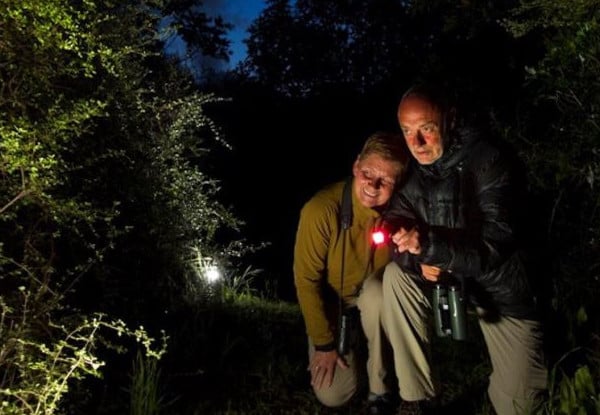 One-Night Kiwi Spotting Tour & Stay for Two People on Kapiti Island incl. Ferry Transport, Introductory Talk, North End DOC Permit, Dinner, Breakfast & Lunch - Option for Two-Night Stay — photo 2