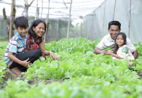 Gift Fast-Growing Seeds with World Vision Smiles