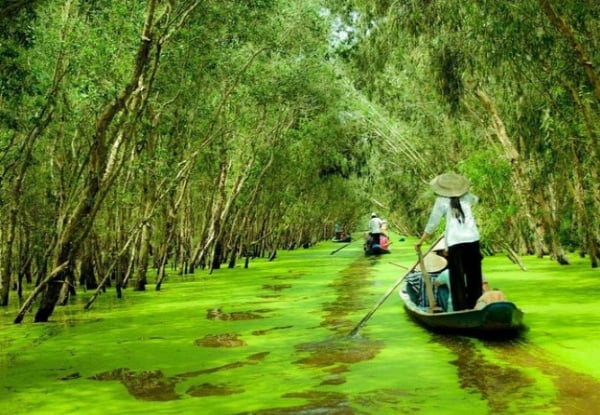 Per Person, Twin-Share 14-Day Ultimate Vietnam Escape: North to South Discovery & Phu Quoc Island Retreat — photo 5