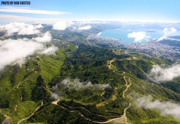 Up to 50% Off General Admission to ZEALANDIA for Adults & Kids — photo 9