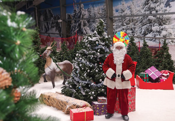 Santa's Snowplanet Winter Wonderland Family Fun Experience for Four - Valid from 21st November to 24th December 2026 — photo 9