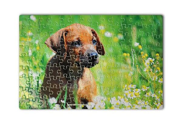 Personalised Jigsaw Puzzles - Two Sizes Available — photo 2