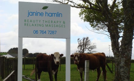 Janine Hamlin Beauty Therapy