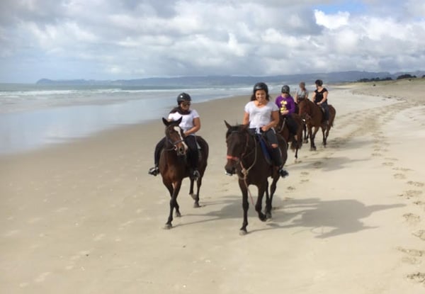 One-Hour Beach Horse Trek for One Adult - Options Available for a Child, Two People & a Two-Hour Intermediate Trek — photo 5